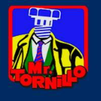 Mr Tornillo Temixco