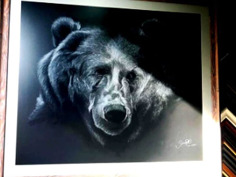 Cuadro Oso Gris Mexico