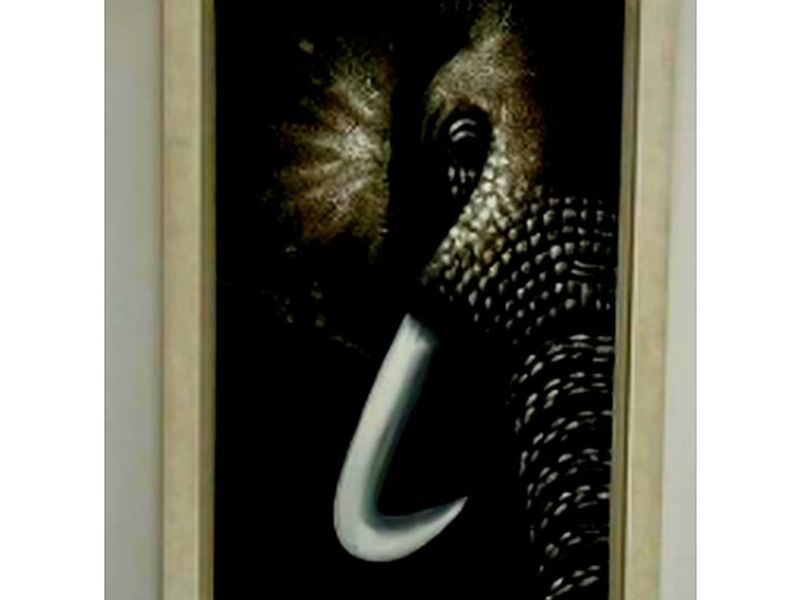 Cuadro Elefante Mexico