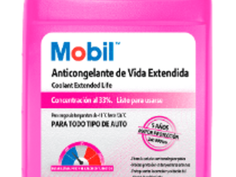 Mobil Vida Leon