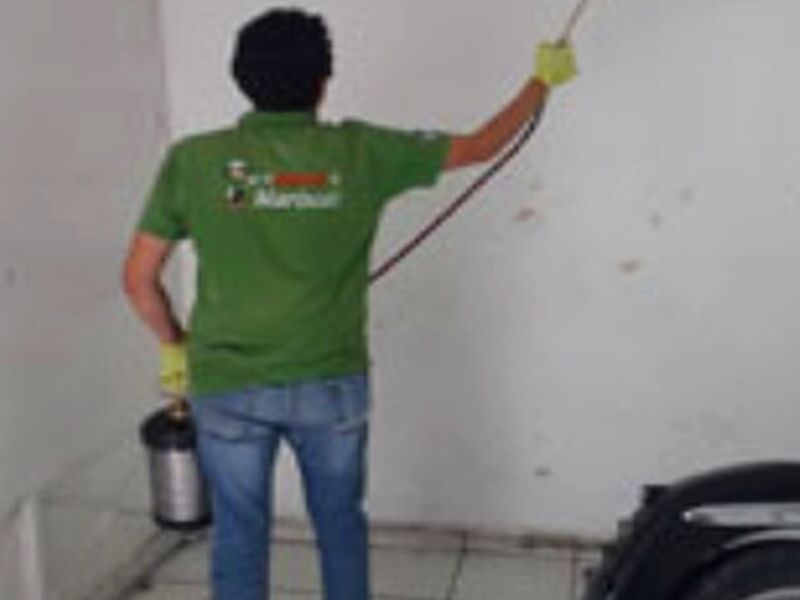 Control Abejas México