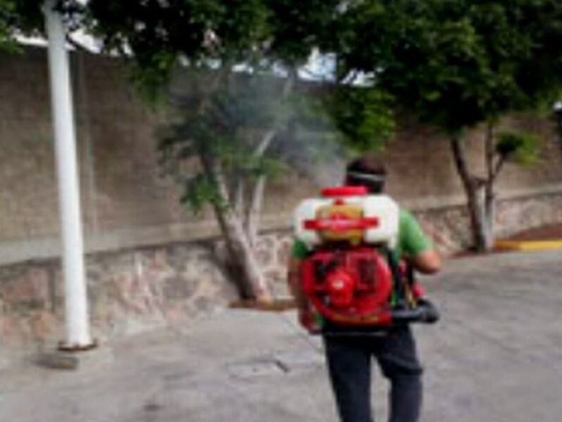Control Chinches México