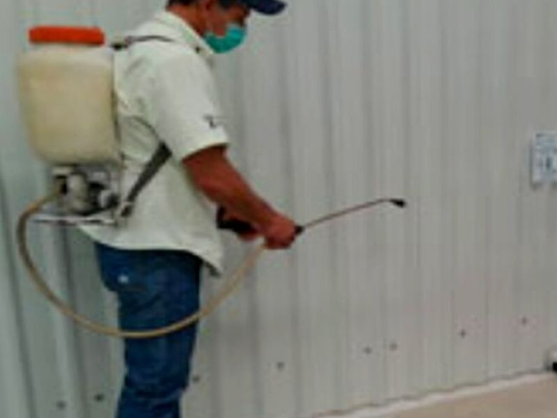 Fumigación Cucarachas México