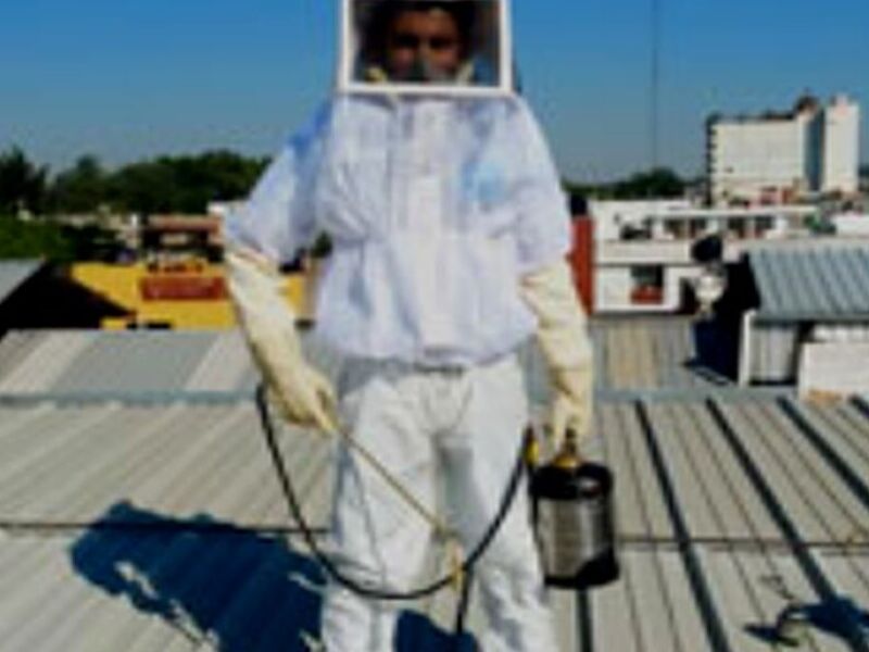 Fumigación Garrapata México