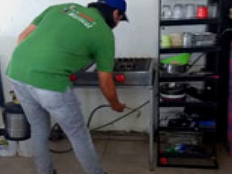 Fumigación Mosquito México