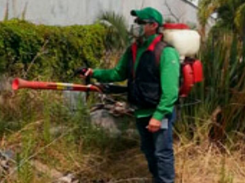 Fumigación Piojo México