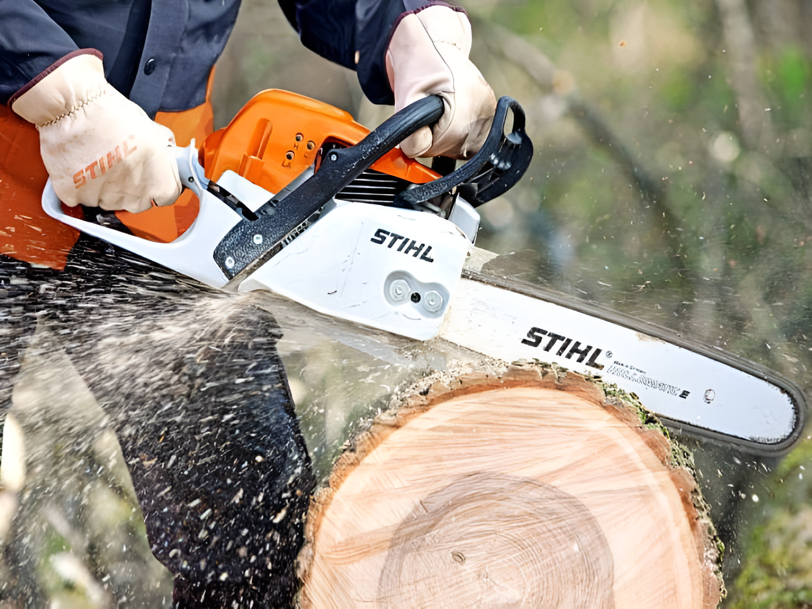 Mantenimiento de motosierras Stihl México 
