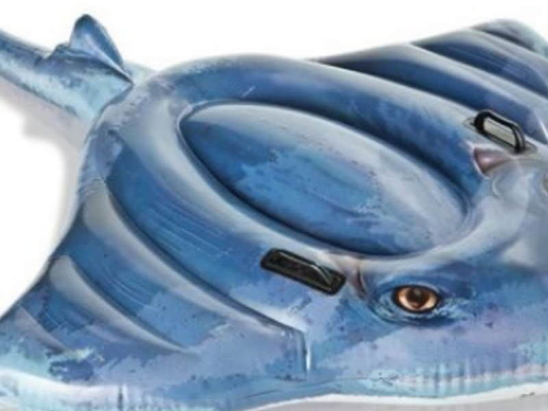 Montable Inflable de Mantarraya México