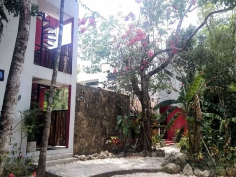 BEECHEII Casa Venta México