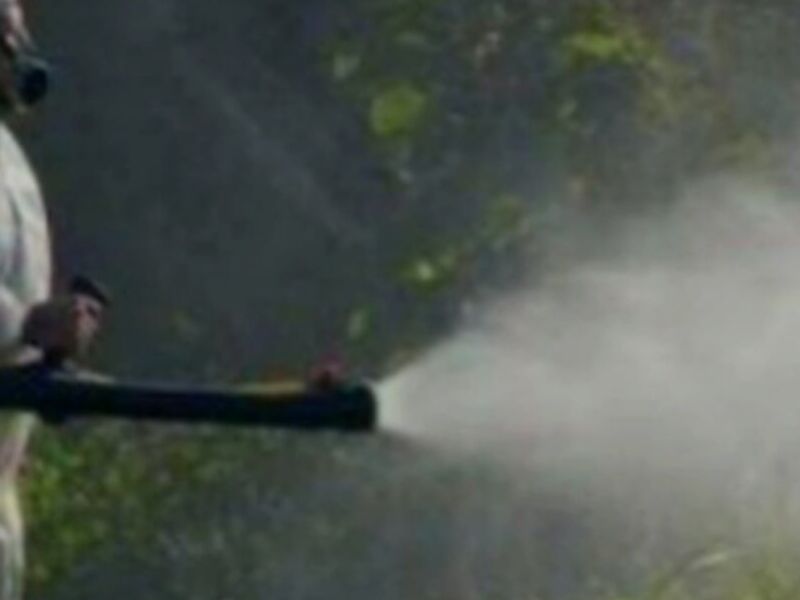 Fumigación México