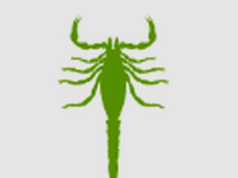 Fumigación Alacranes México