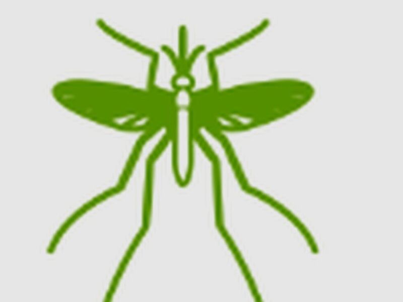 Fumigación Mosquito México