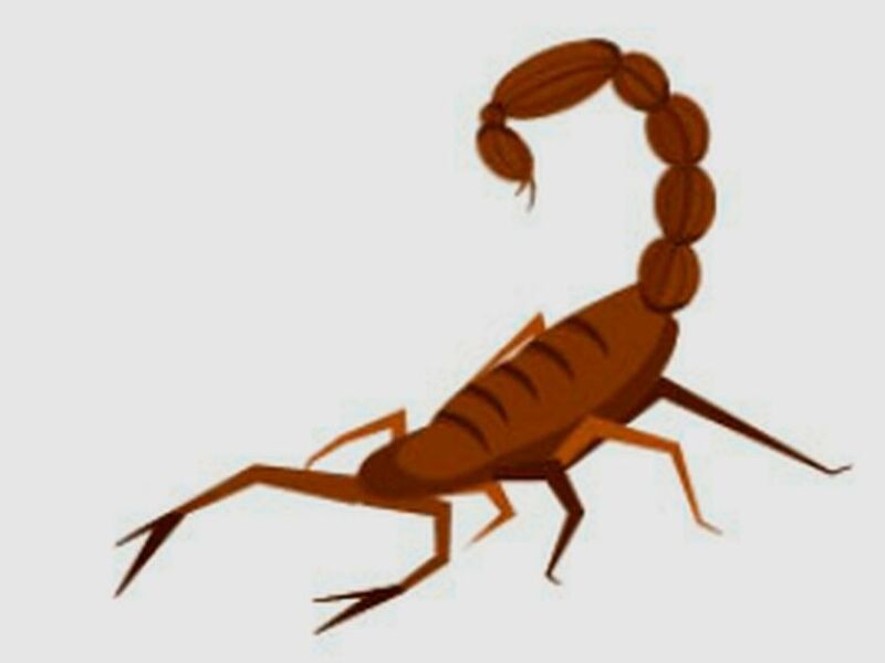 control alacranes México