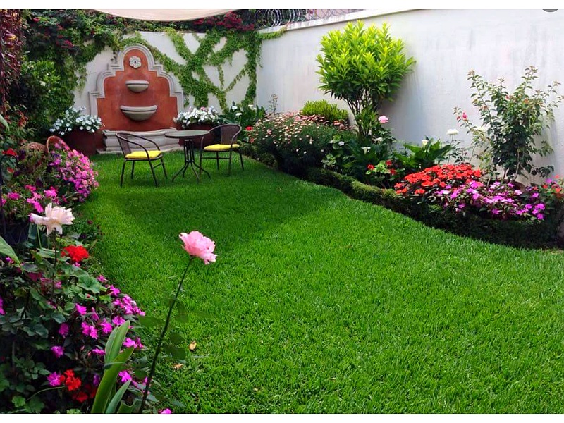 Venta e instalación de Pasto en rollo Mexico