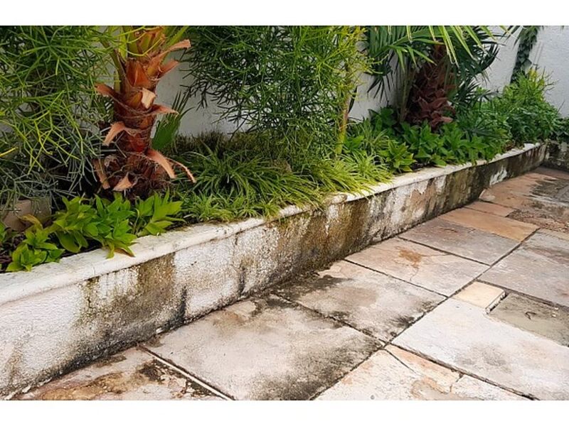 Servicio limpieza jardines México