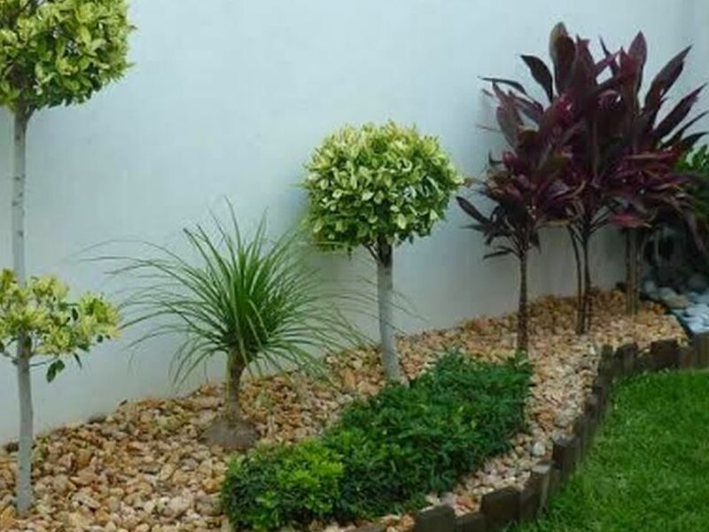 Diseño jardines Puebla