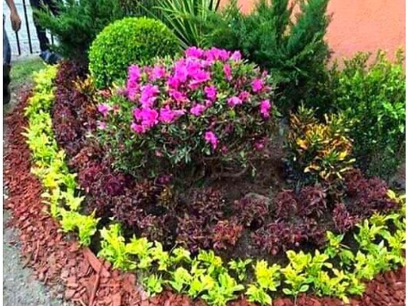 Diseño jardines Querétaro