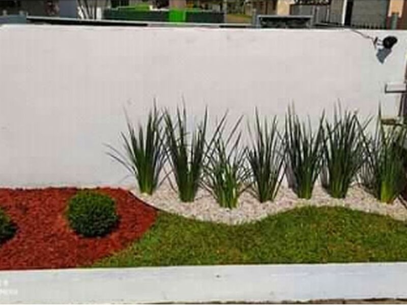 Diseño jardines Mazatlán