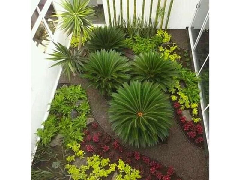 Diseño jardines Villahermosa