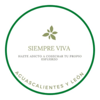 Siempre Viva Mexico