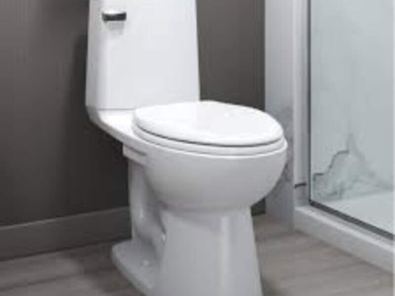 Sanitarios México