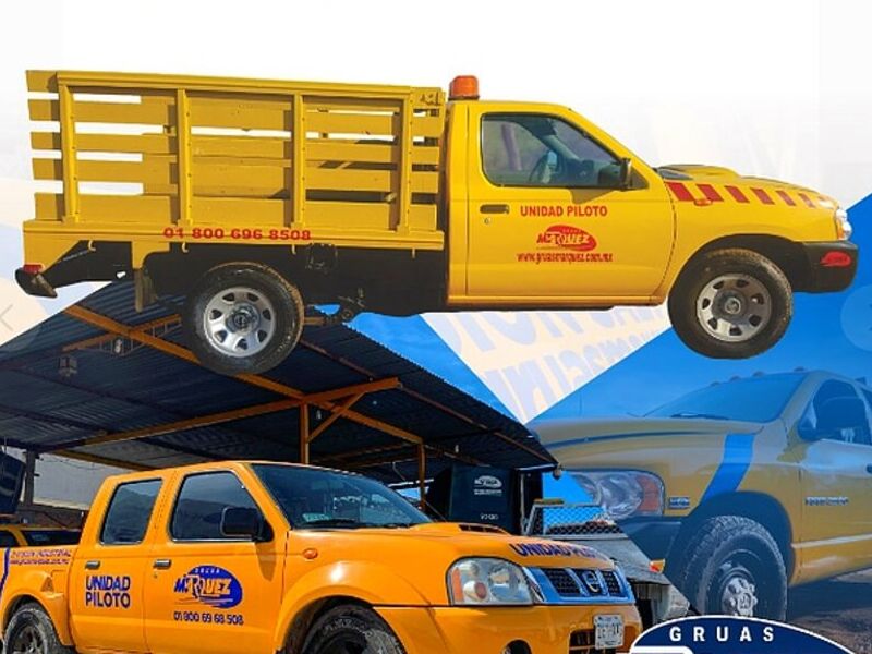 Renta Unidad Piloto México