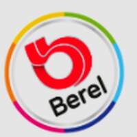 Berel Pinturas
