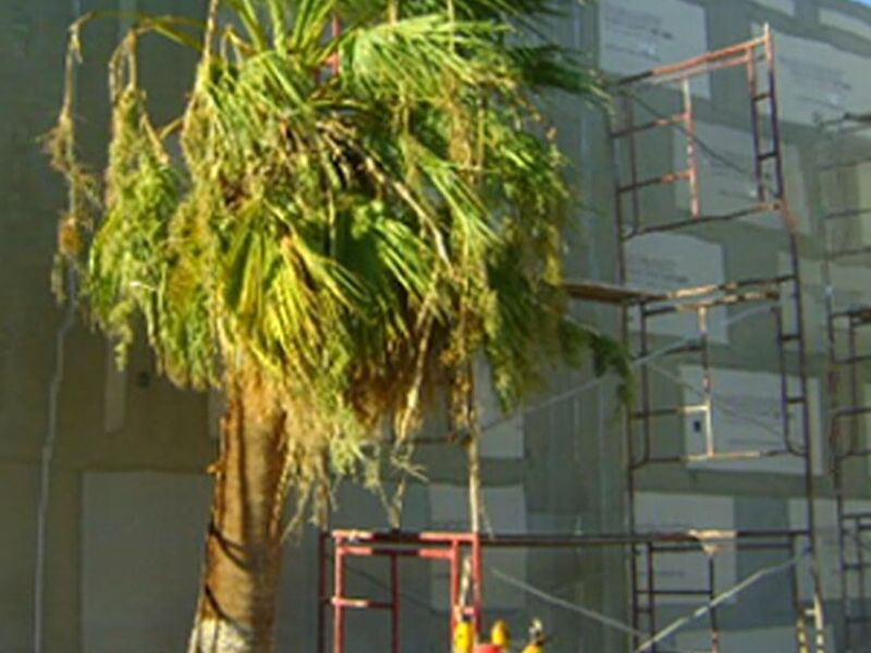 Construcción fábrica Erma Tijuana