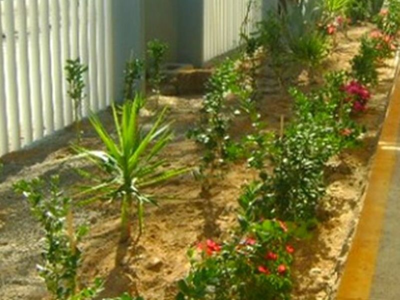 Construcción jardinera plantas Tijuana
