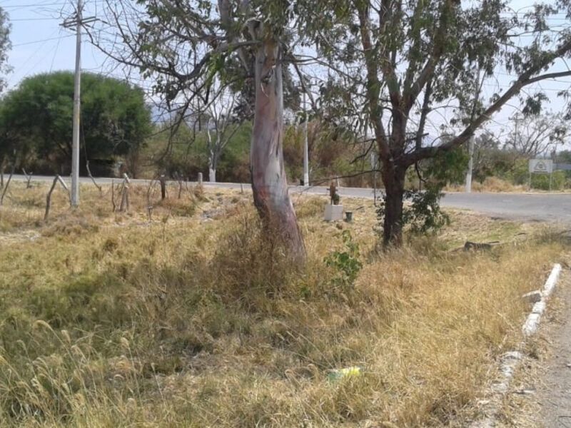 Venta terreno Jalisco