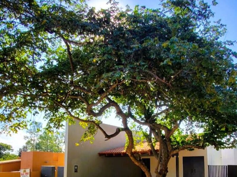 Venta casa contemporánea Jalisco