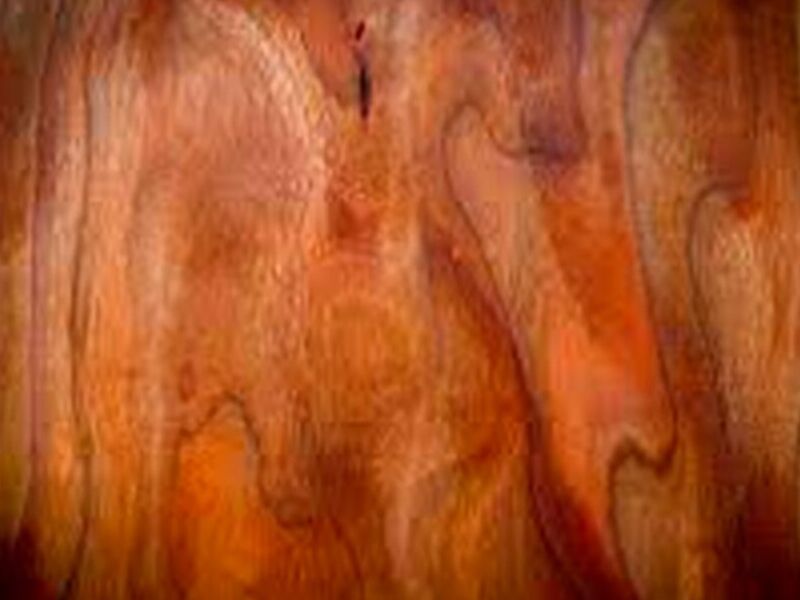 Madera cerezo Mexico