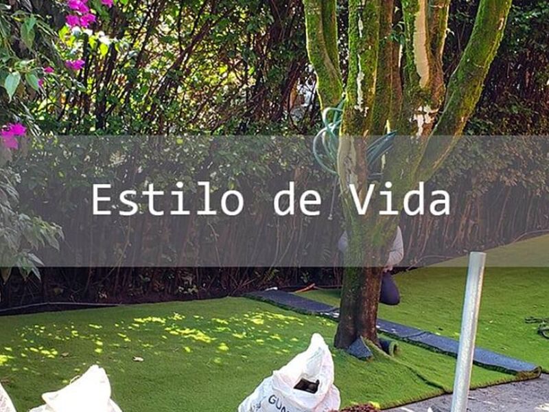 Diseño jardin CDMX