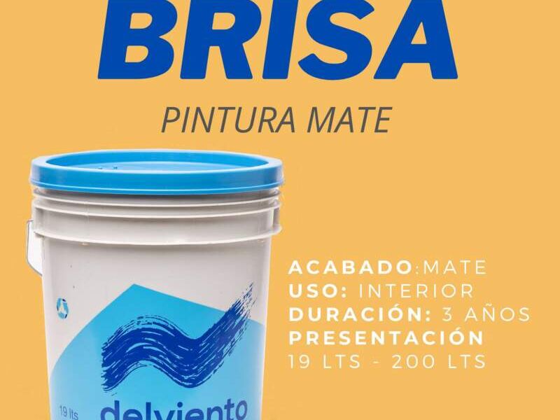 Pintura Brisa PACHUCA