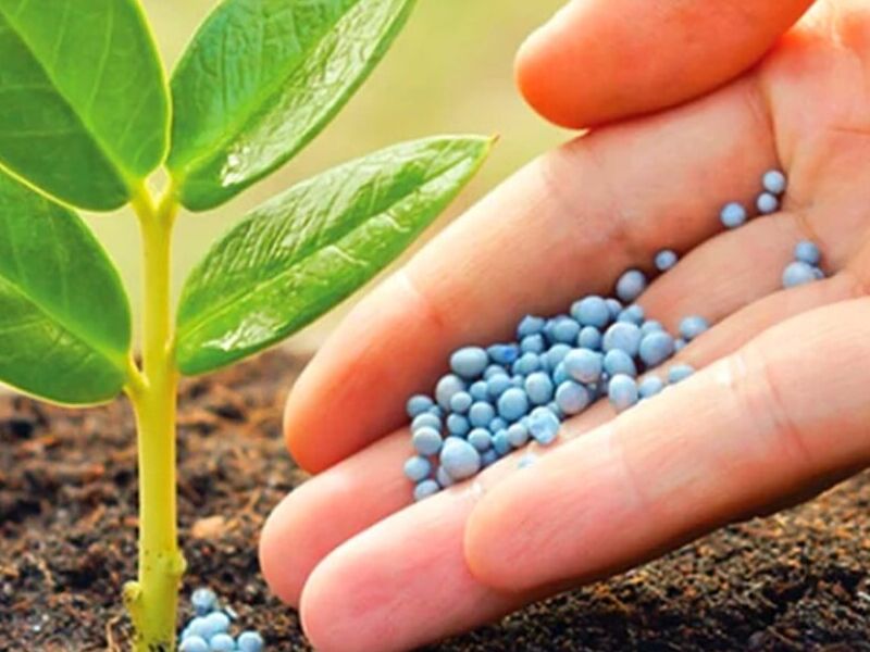 Fertilizantes México