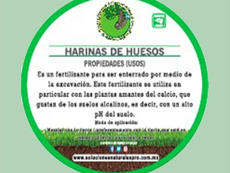 Harina de hueso México