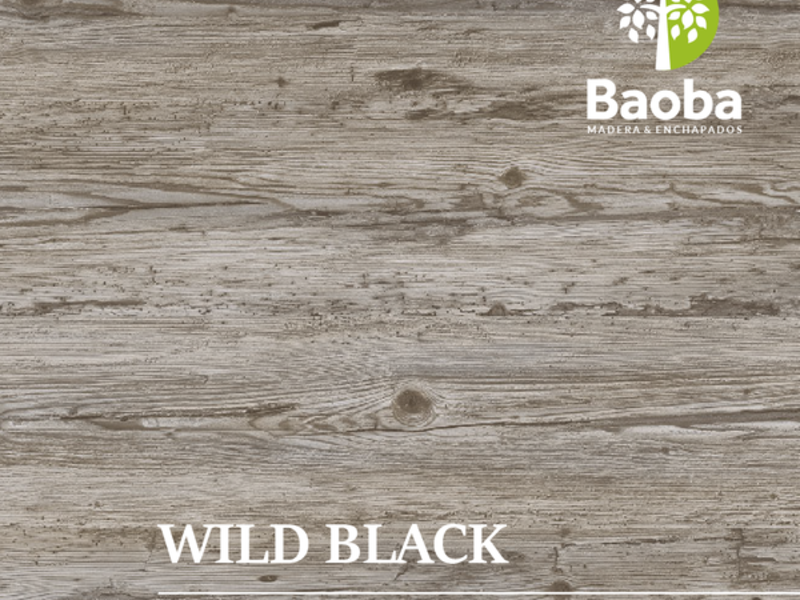 Maderas wild black Mexico
