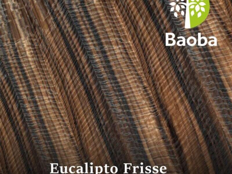 Madera natural Eucalipto Frisse Mexico