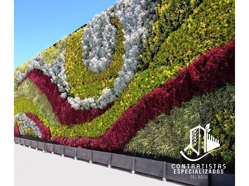 Diseño de Jardines Verticales Contratistas Especializados del Bajío México