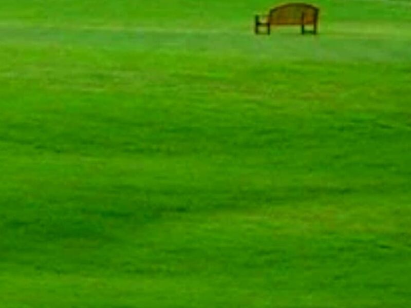 Pasto Bermuda Royal Mexico