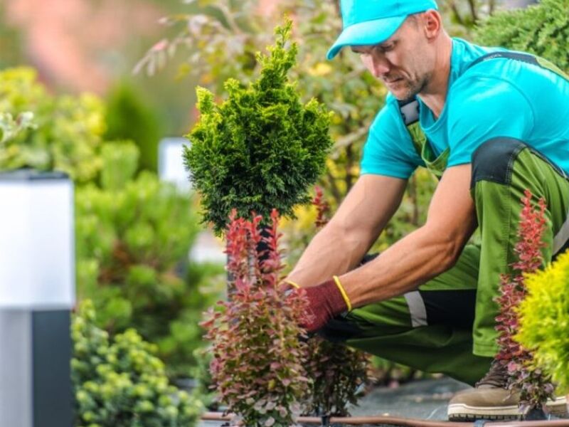 Mantenimiento Jardines México