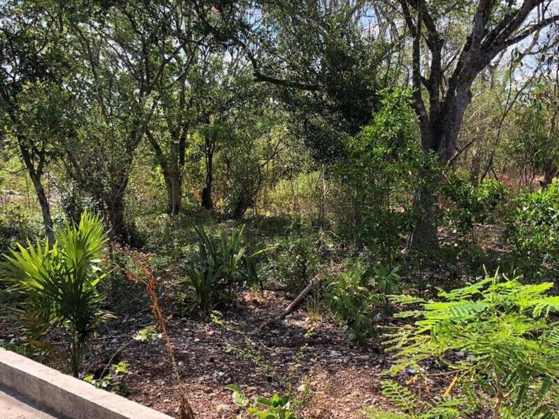 Venta terreno Valladolid Yucatan
