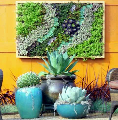 Decoración Floral Espacio Exterior MÉXICO
