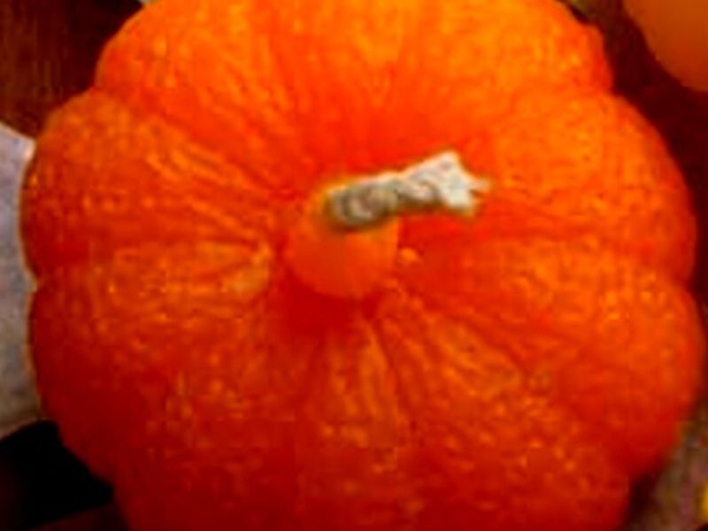 Calabaza Aguascalientes