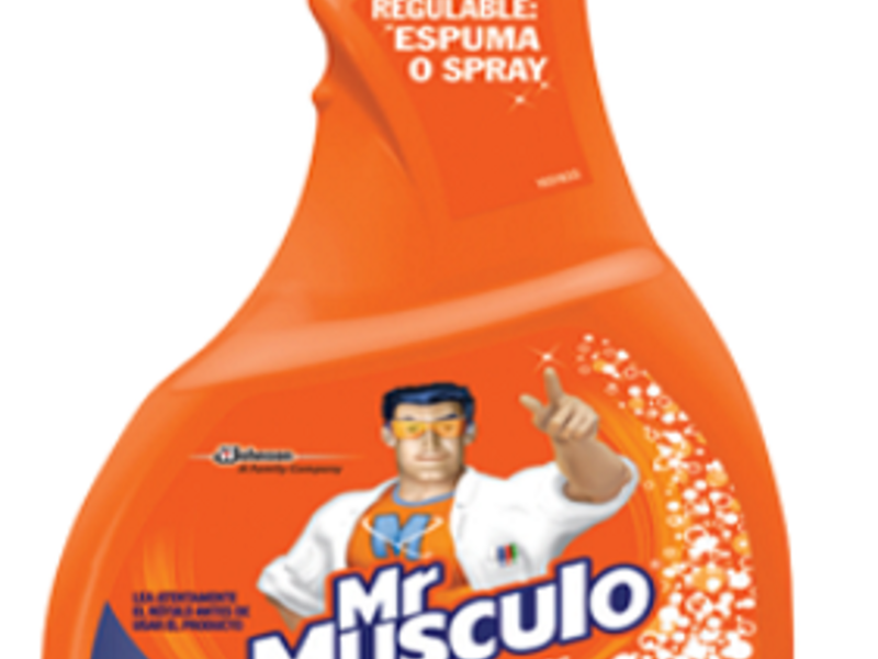 Limpiador Multi Acción San Luis 