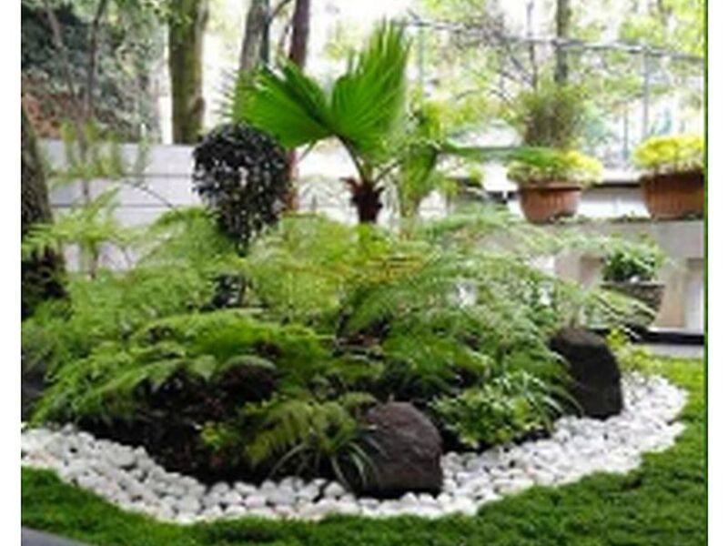 Fertilización jardínes México