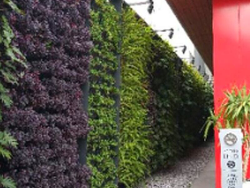 Muros naturales México