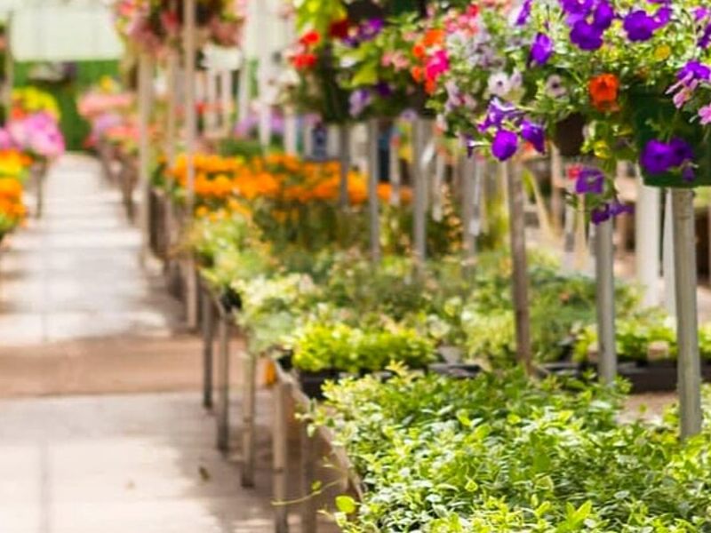 Jardinería México