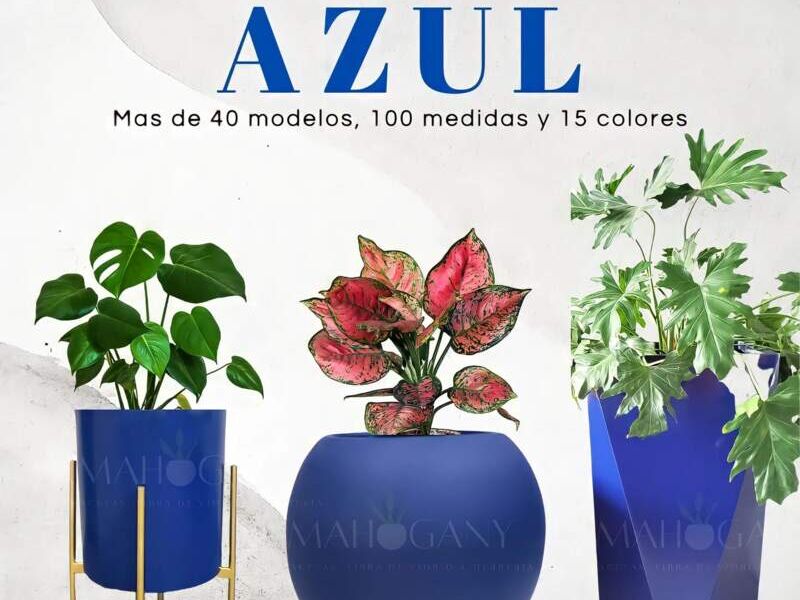 Macetas color azul Mexico