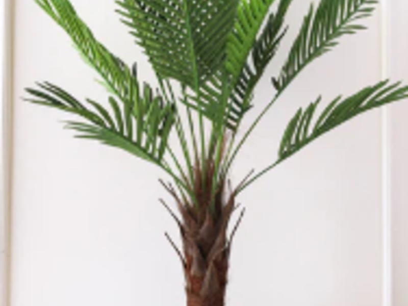 Plantas artificiales CDMX